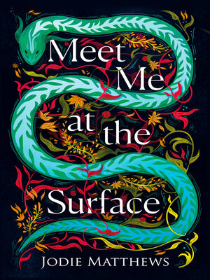 cover image of Meet Me at the Surface